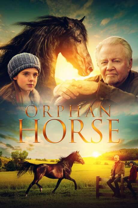 Orphan Horse